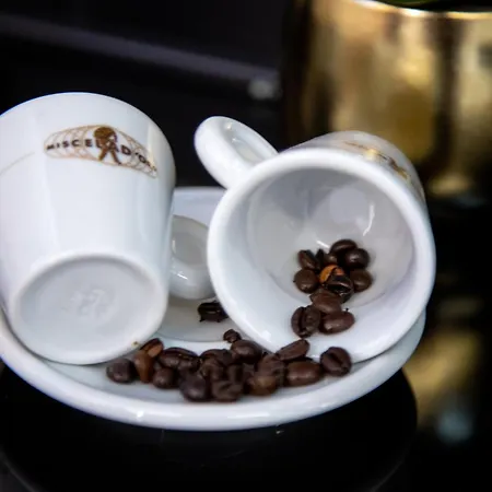 Operaprimasuite Panzió